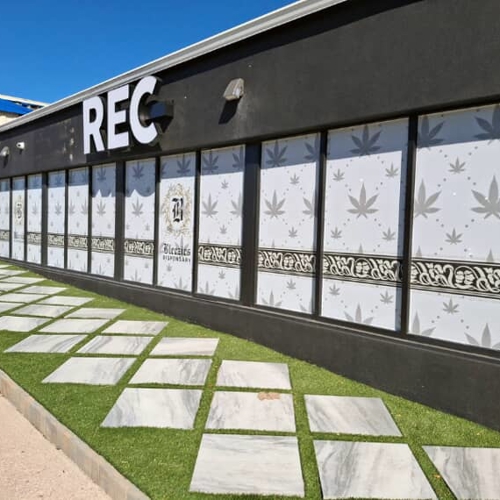 Window & Wall Graphics